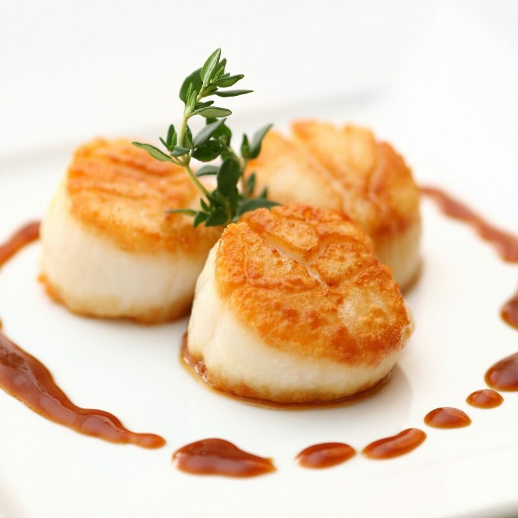 Scallop Meat Canada 11-15 2