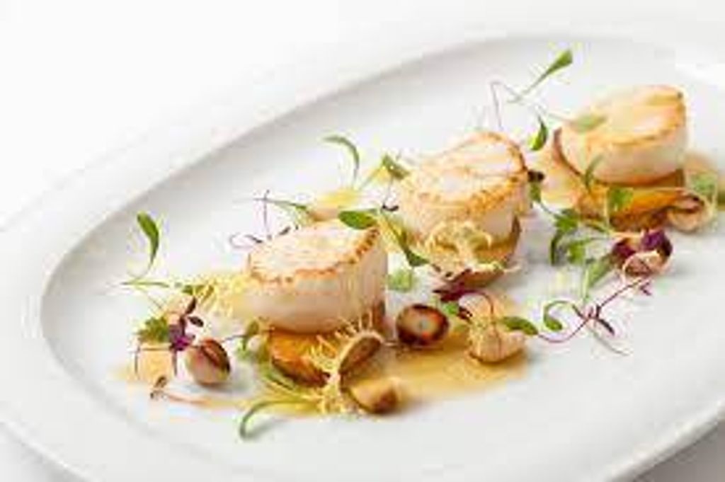 Scallop Meat Canada 16-20 3