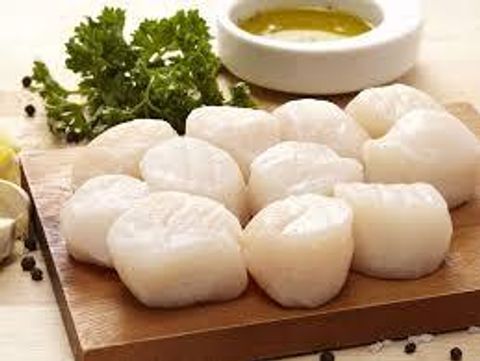Scallop Meat Canada 16-20 1