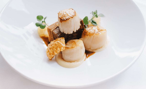 Scallop Meat Canada 16-20 2