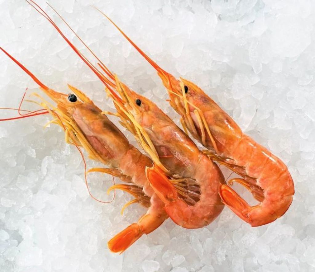 Argentina Red Shrimp 20-30 (2kg per pkt) 3