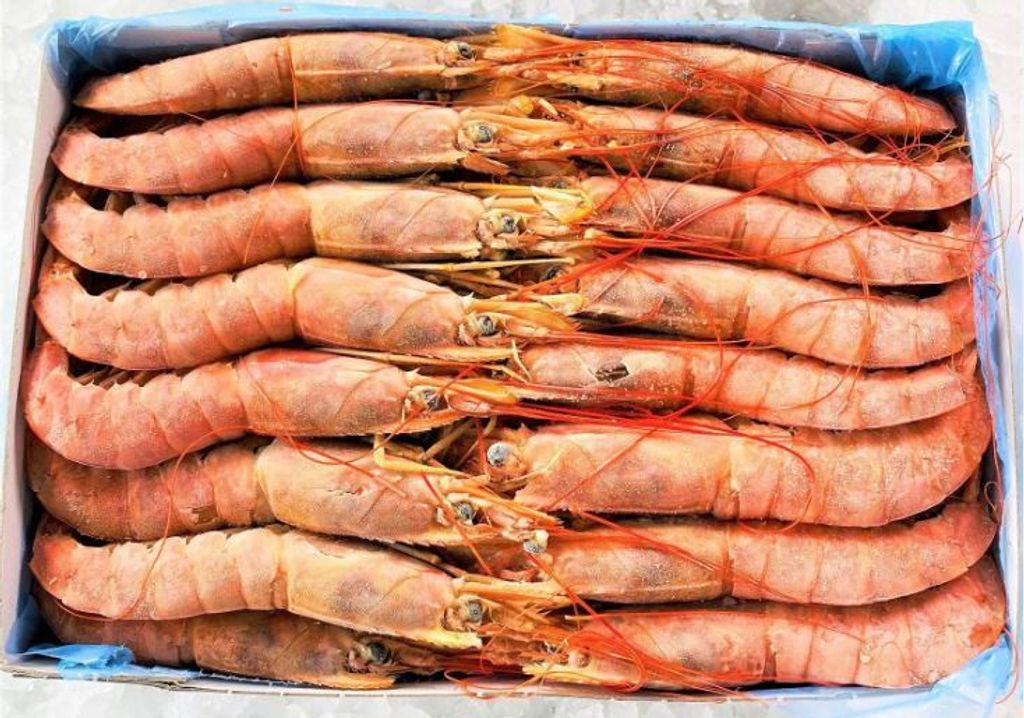 Argentina Red Shrimp 20-30 (2kg per pkt) 2