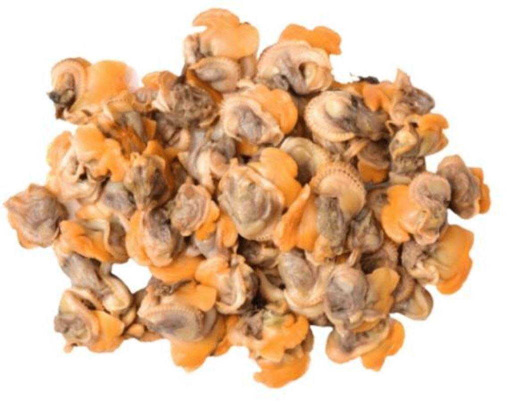 Kerang Meat IQF 2