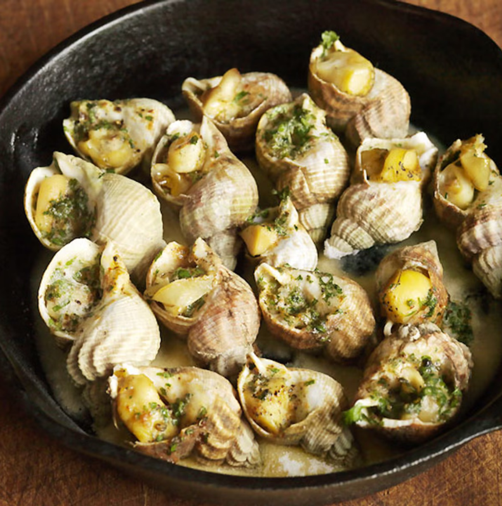 Frozen Siput Laut Hijau (Jade Whelk) 2