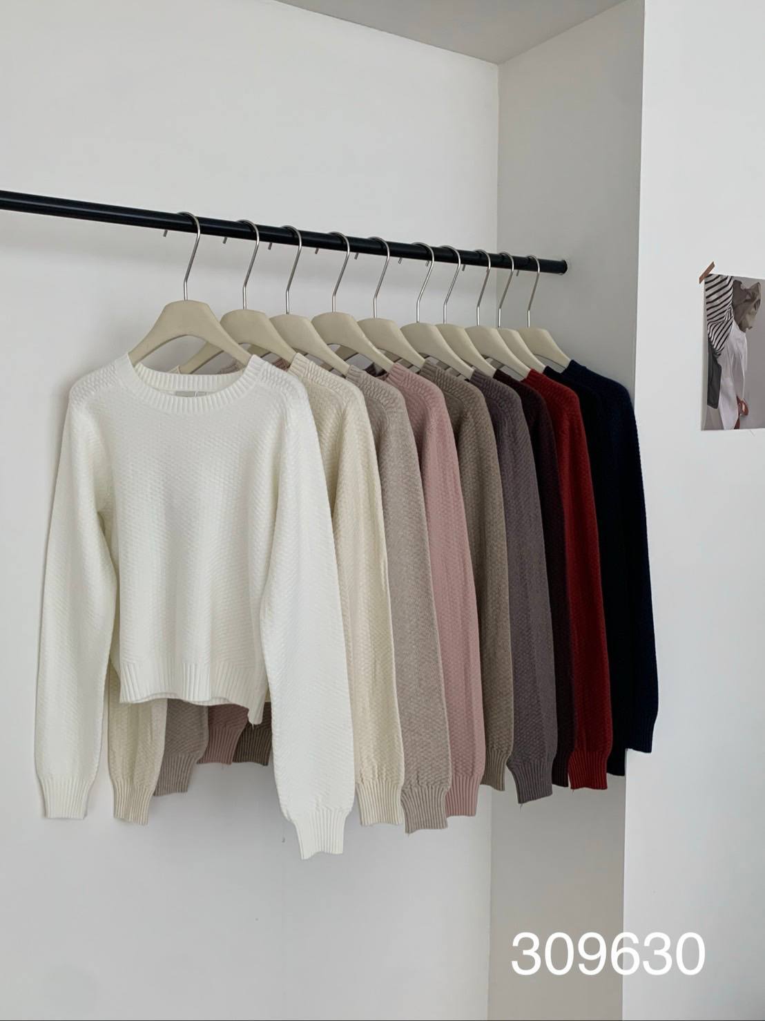 photo_6_2026-03-17_06-57-36