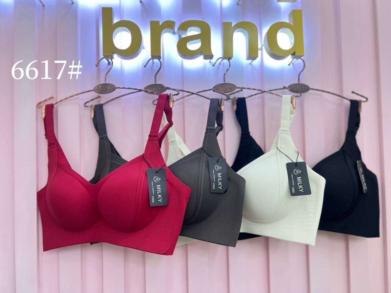 IMG_1882-1739445971180