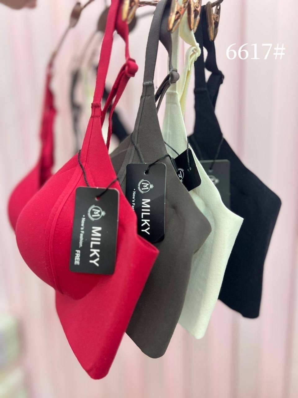 IMG_1881-1739445971185