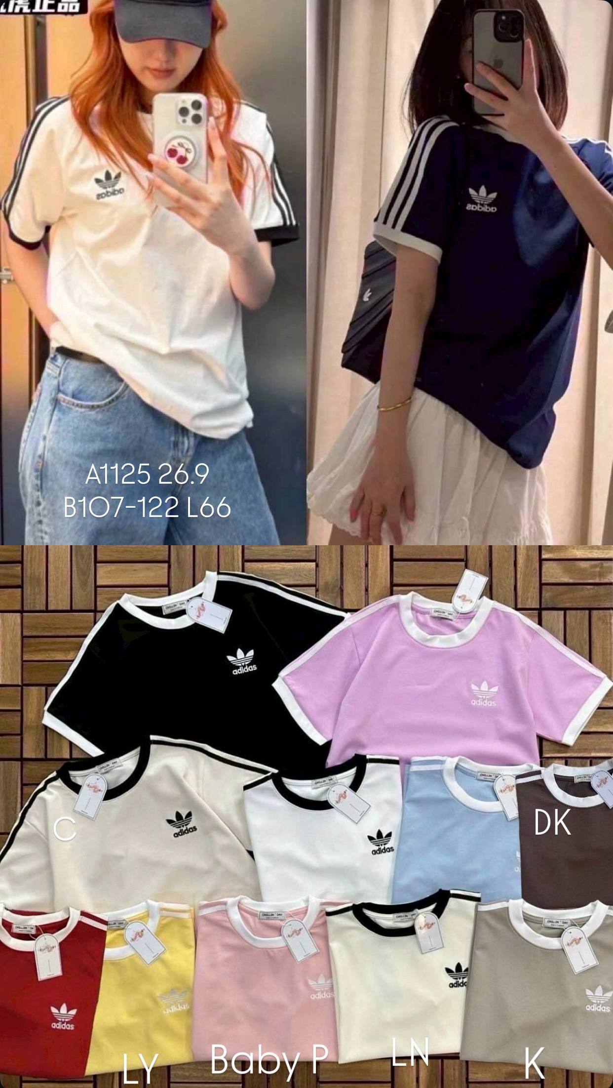 photo_2025-10-08_18-14-34