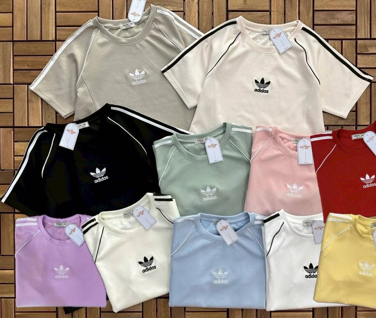 photo_2025-11-07_15-48-27