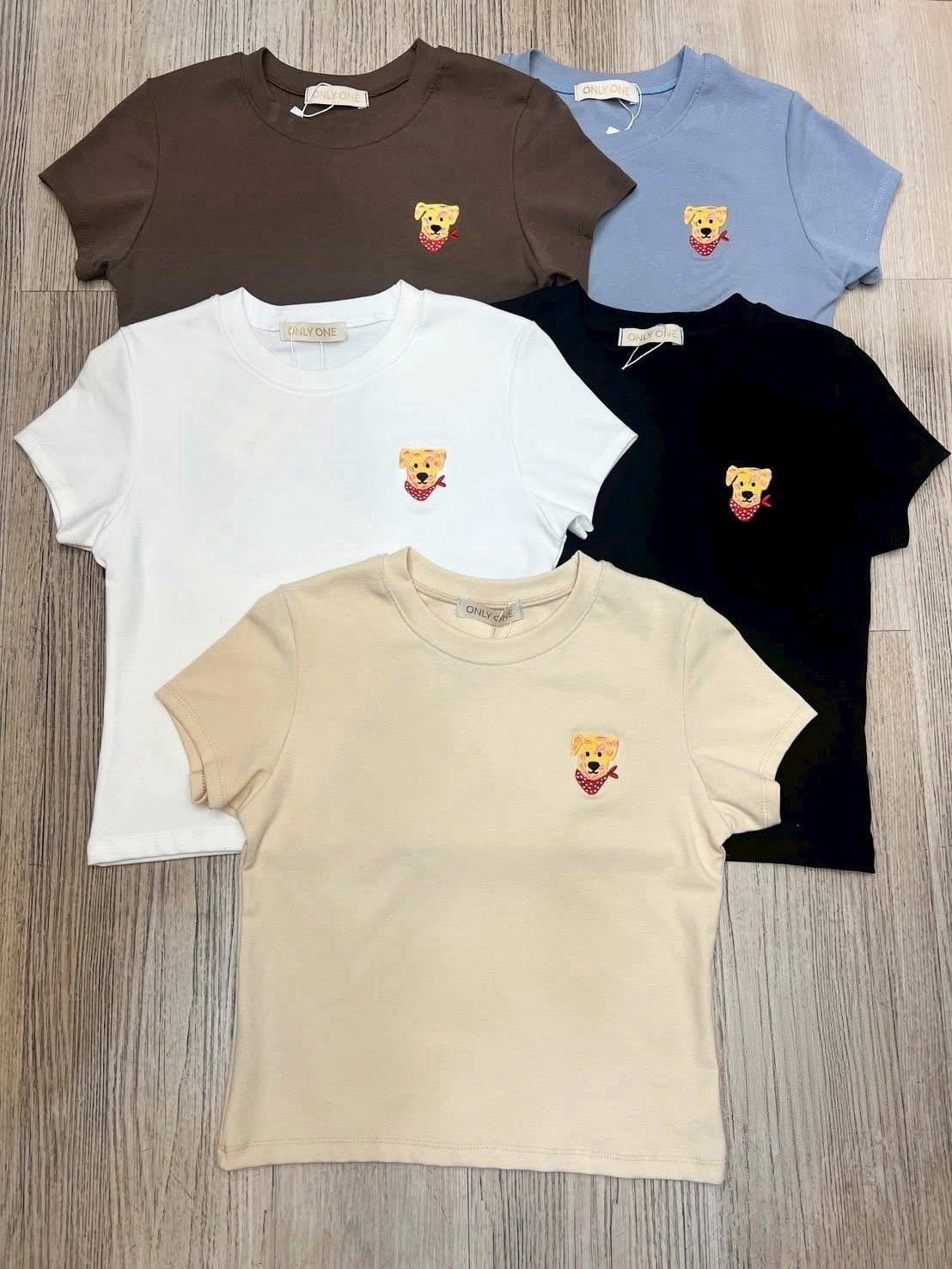 image_DD22BB24-FD46-49B5-A416-524DDA846FC8_1762767763