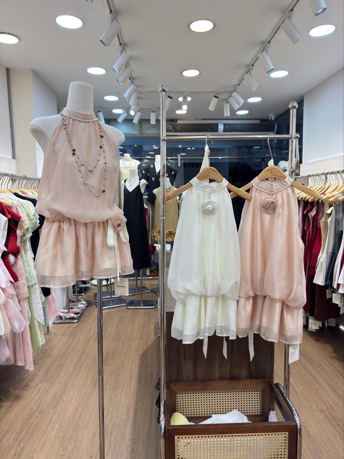 image_1B37E918-7BF0-4020-9883-D6E441CDBDB7_1762932796