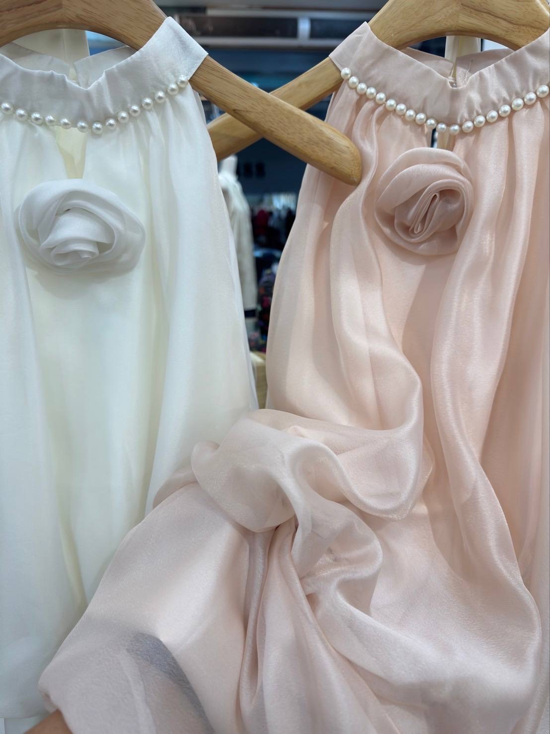 image_27573AE2-C6C8-4762-B72C-1271009C4FF0_1762932796