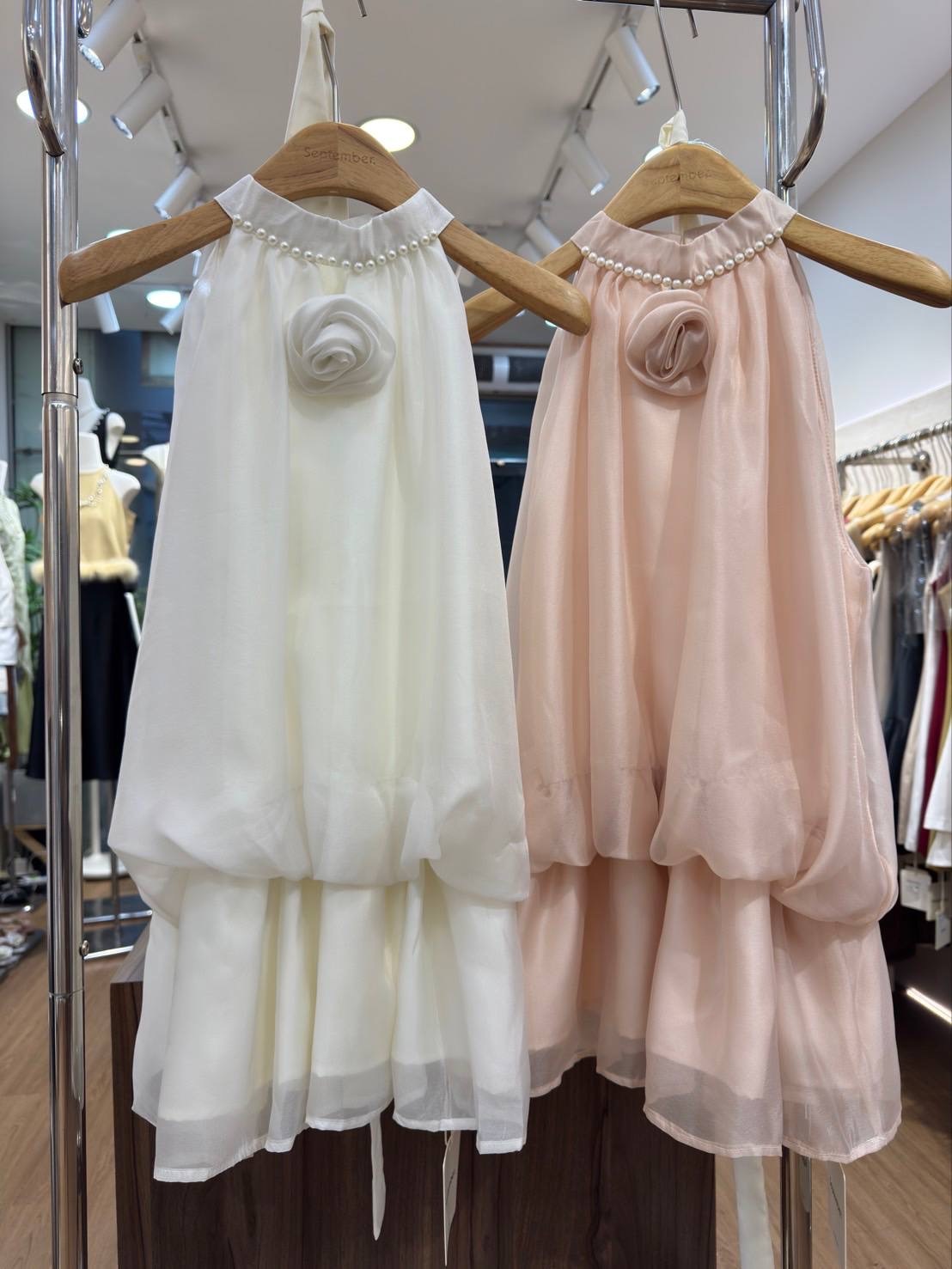 image_CBDD60E2-A9CF-44E9-BC03-A495607F237A_1762932796