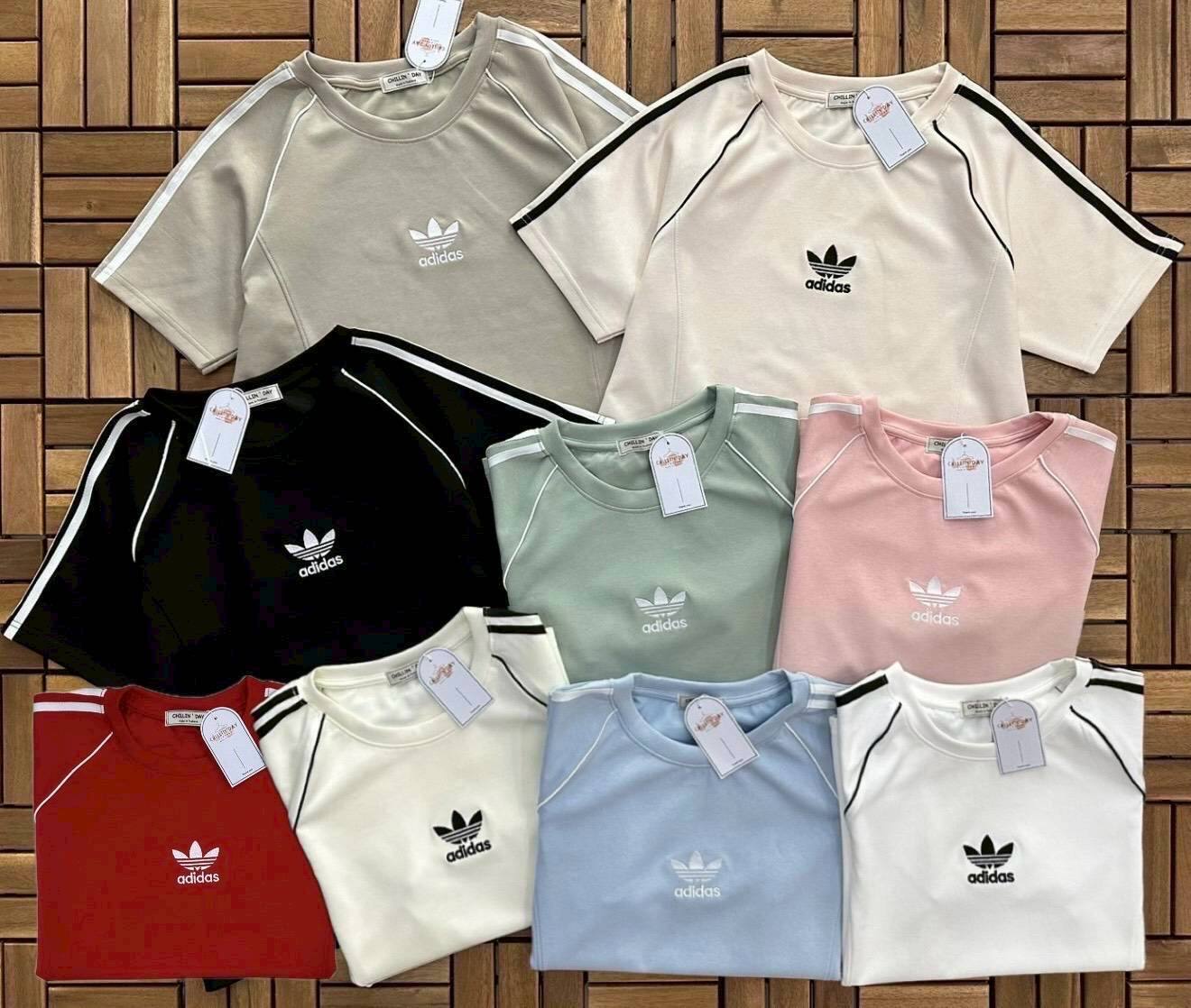 photo_2025-11-23_12-57-16