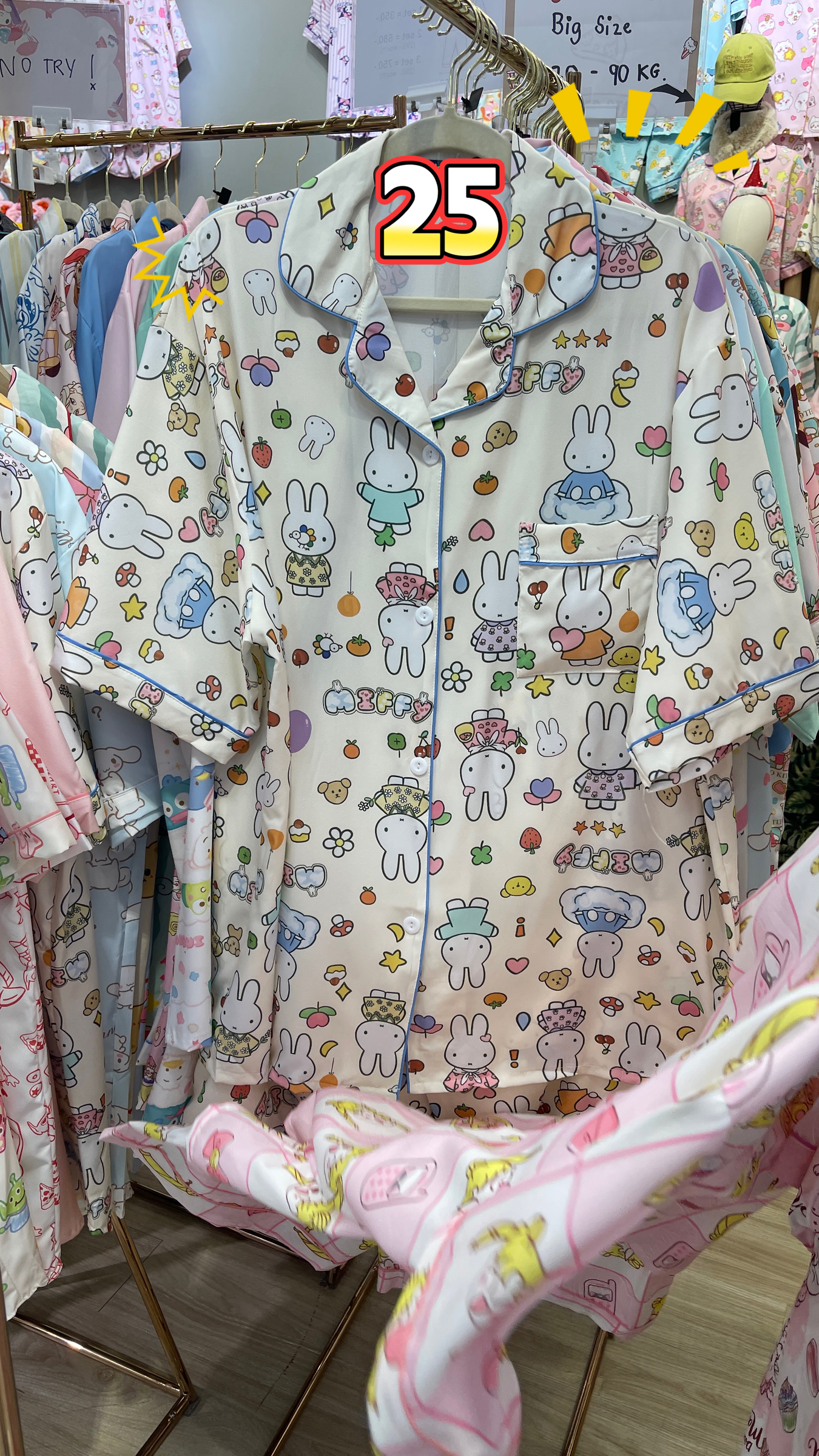 image_C06C66E2-5EE1-431B-8449-06F730DF902D_1764745504