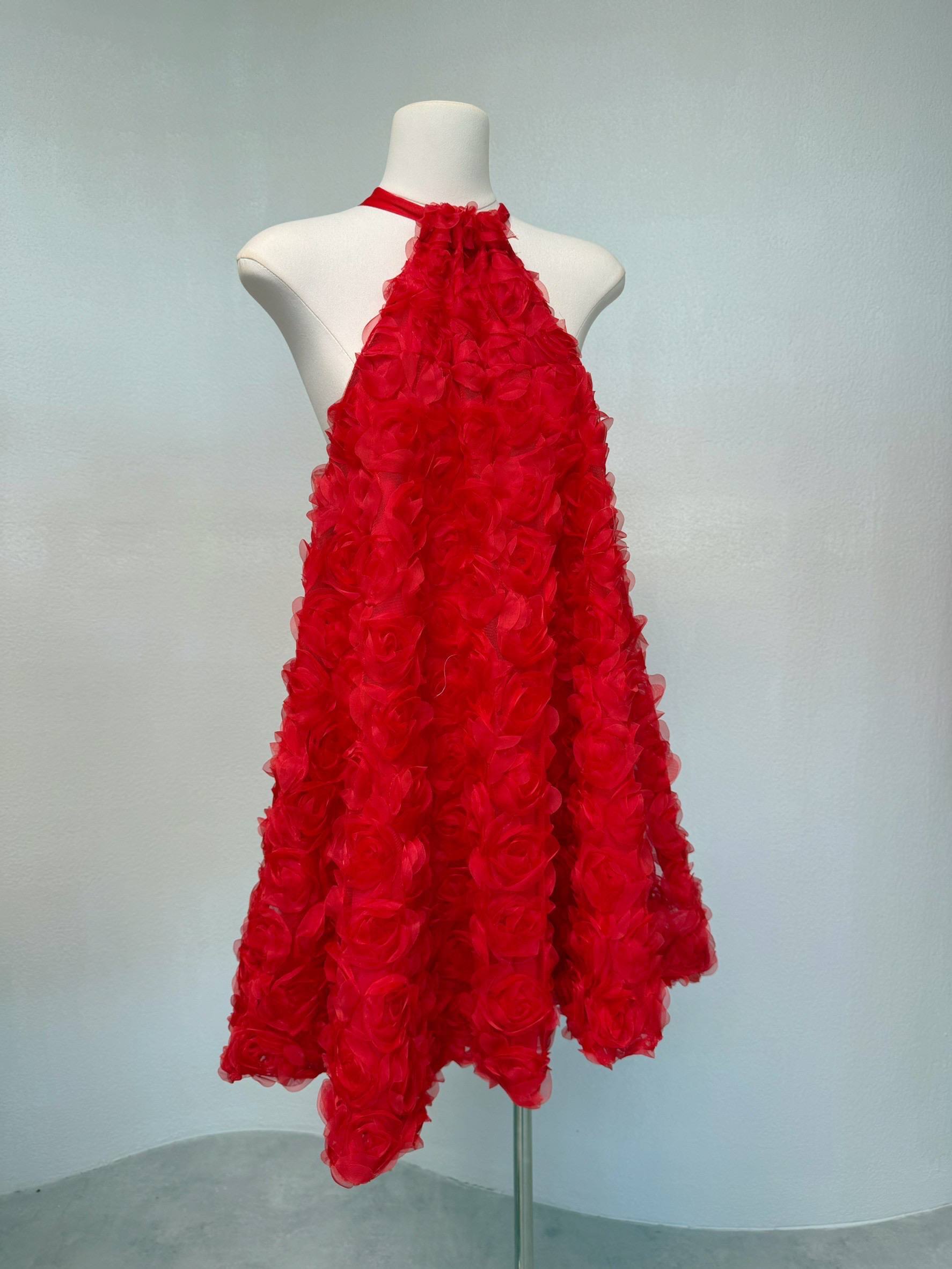 photo_2_2025-12-03_15-29-32