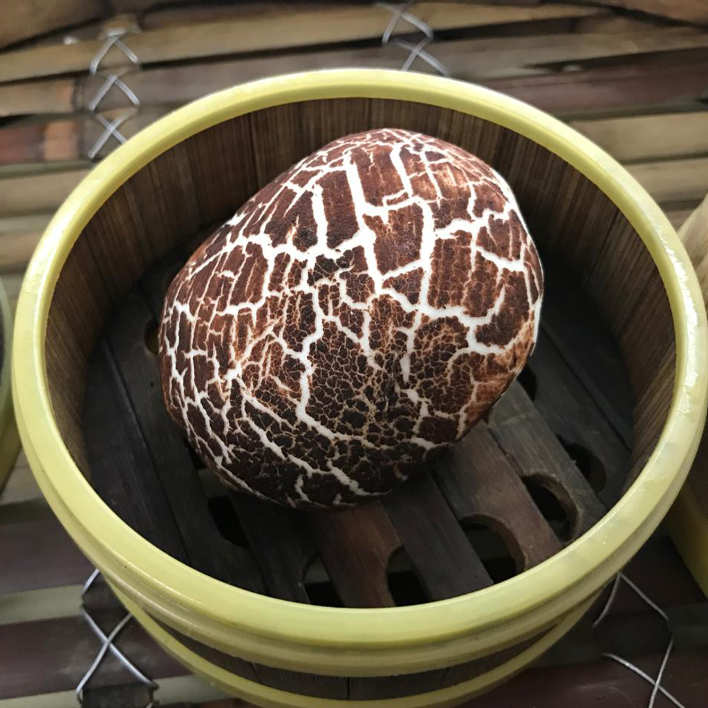 WhatsApp Image 2020-05-19 at 10.20.11 (1).png