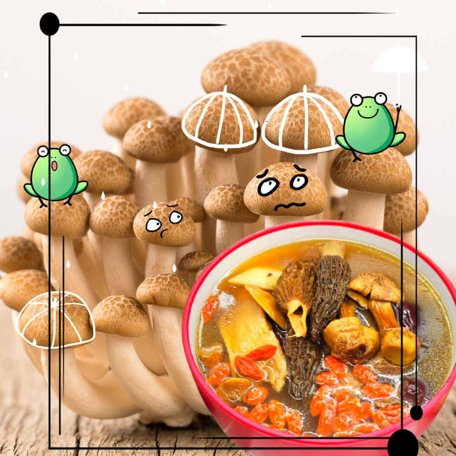 一家药膳 Eka Herbs |  - 菌菇<br>系列<br>汤膳