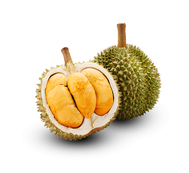 猫山王 vs 黑刺：到底有什么不同？(Musang King vs Black Thorn)