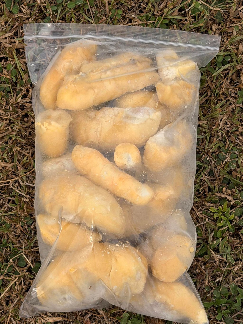 b1af554671e44f5b925c98defa5d42a2~tplv-aphluv4xwc-origin-jpeg