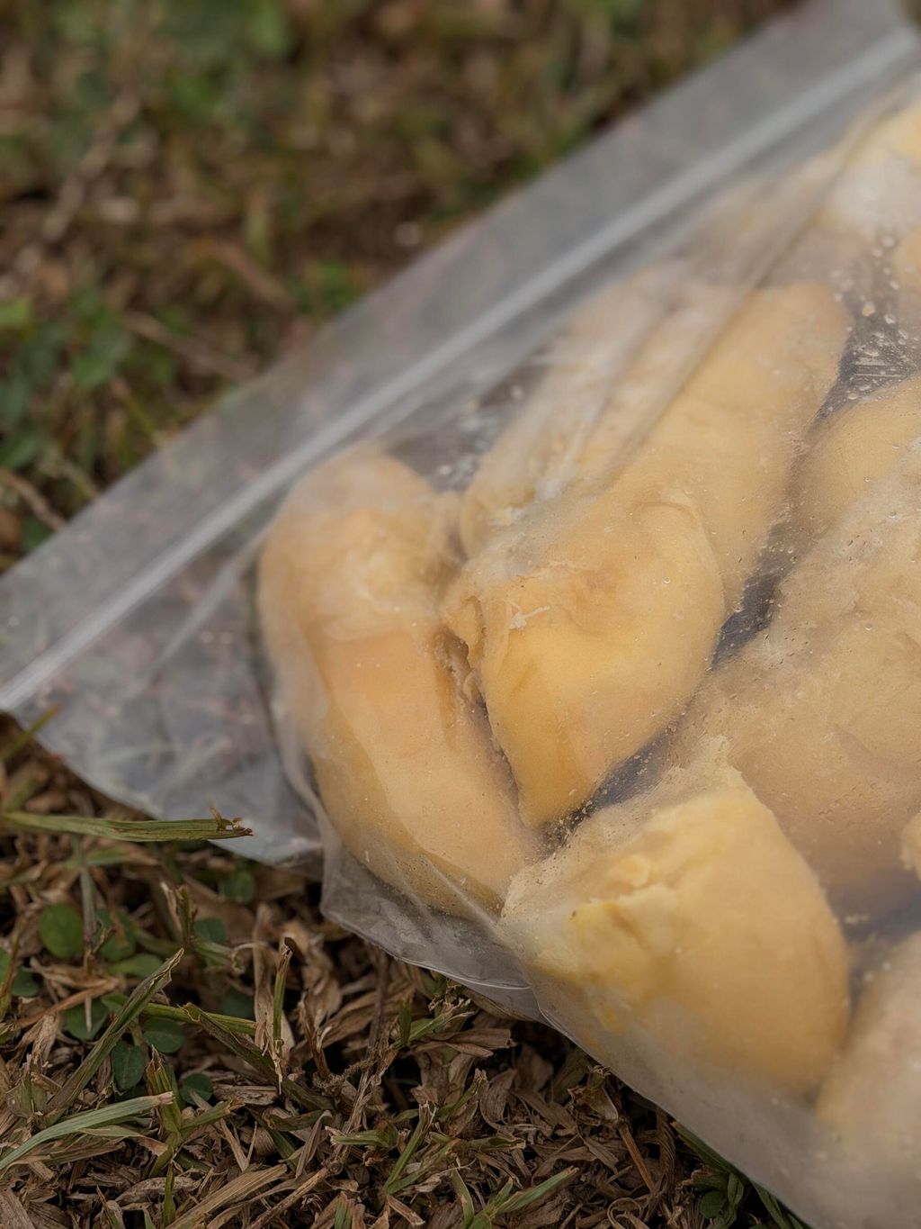 393a0431e6c24b5eae2fbc9144686d45~tplv-aphluv4xwc-origin-jpeg