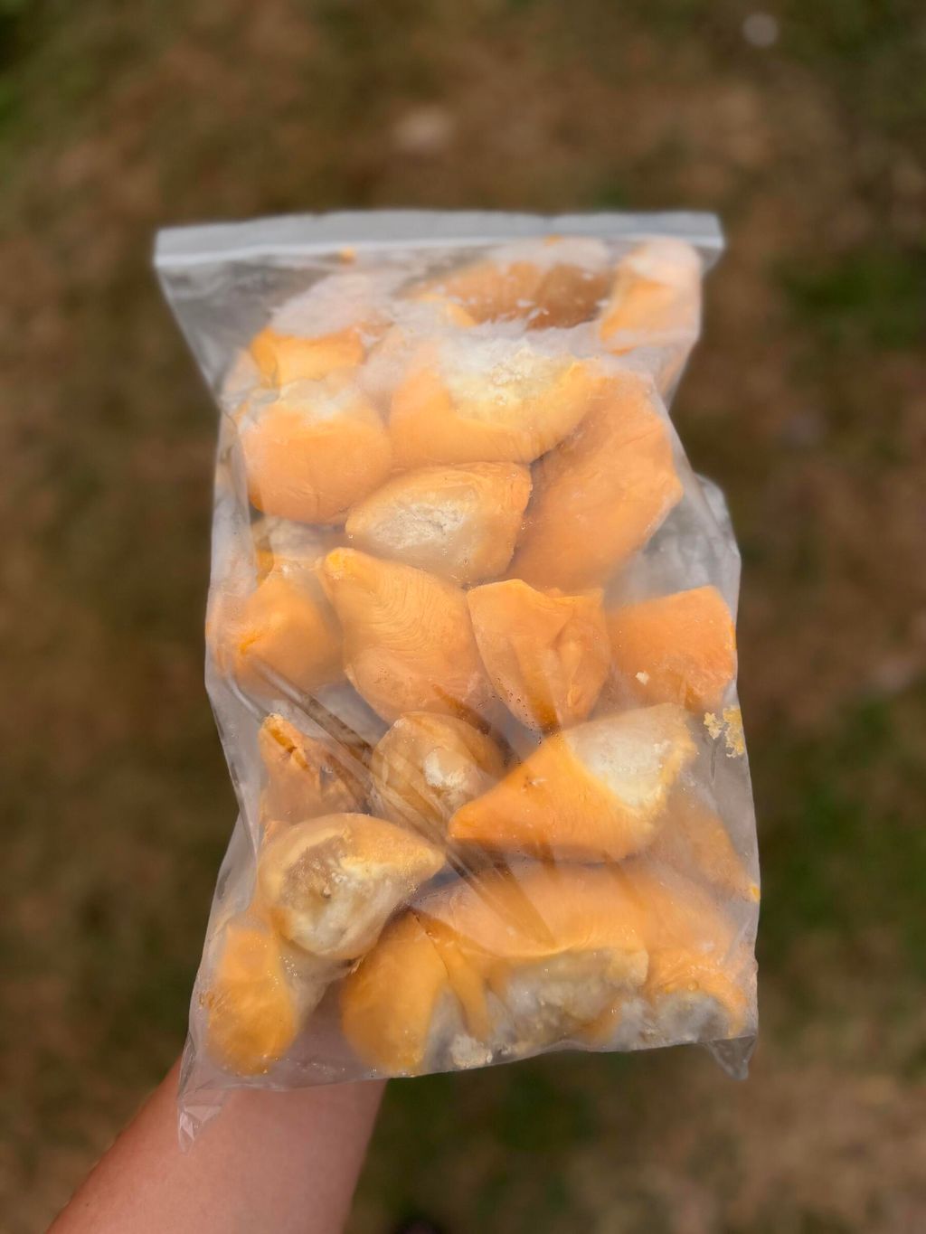 5e991fe8cffc4df9bac22894d7c5b1c9~tplv-aphluv4xwc-origin-jpeg