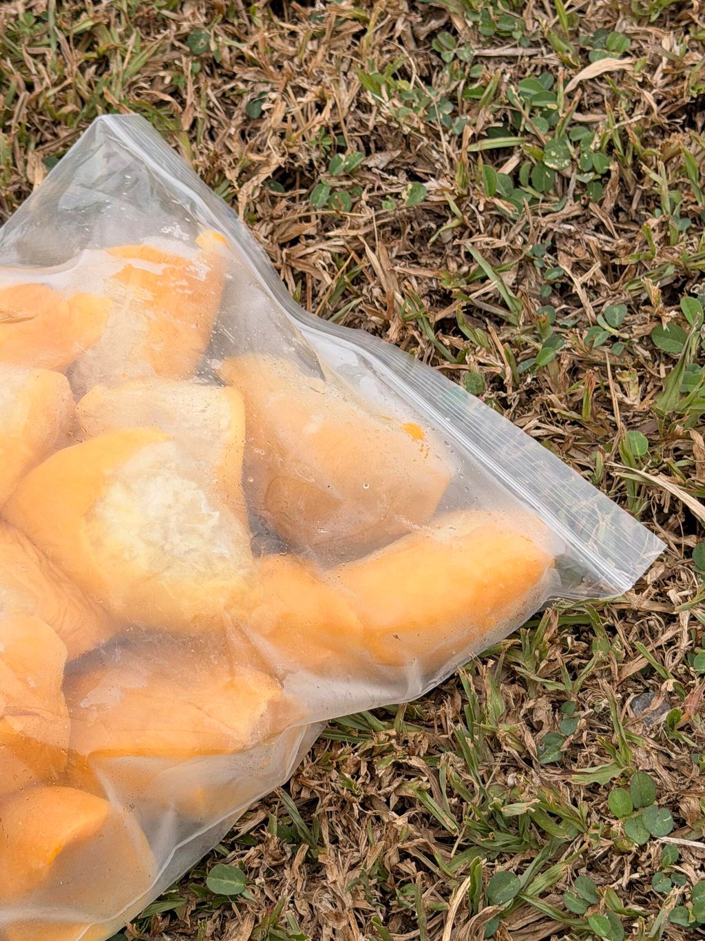 cd62af503d8c4542b2d2c522072bb11c~tplv-aphluv4xwc-origin-jpeg