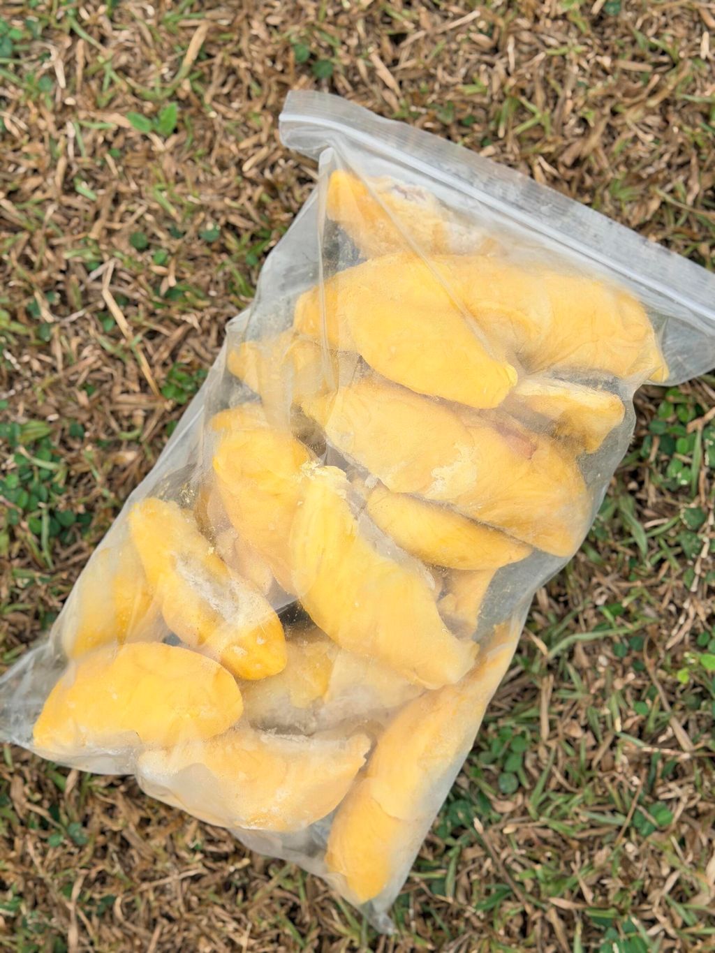 e1668b0b9c5a4a949980f31fba936d76~tplv-aphluv4xwc-origin-jpeg