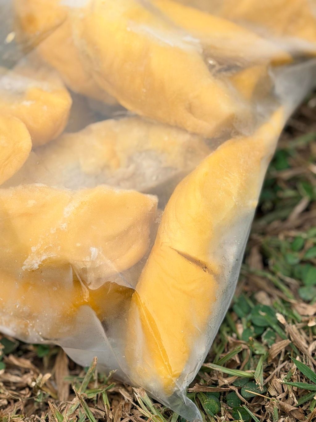 5015ac34ffed4a2c87917145954a26c3~tplv-aphluv4xwc-origin-jpeg