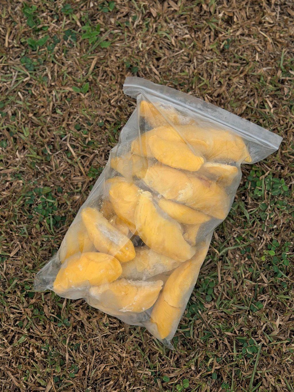 e85ab1646562417291ea4285d735367e~tplv-aphluv4xwc-origin-jpeg