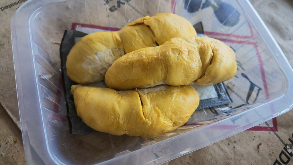 dji_mimo_20260505_103542_0_1777949775768_video_exported_0