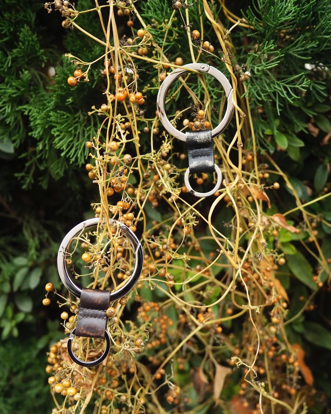 SnapInsta-Ai_3819908550542677838