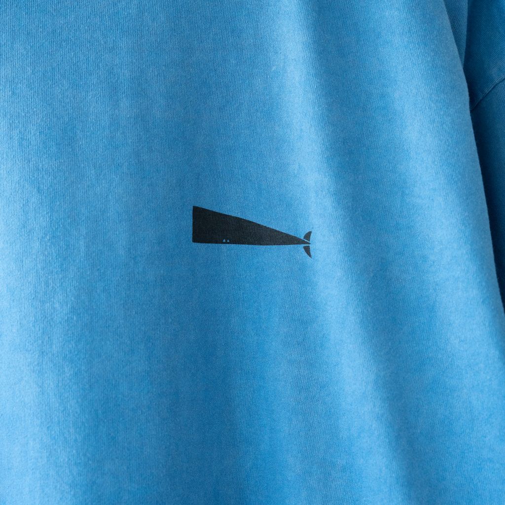 DSC02704