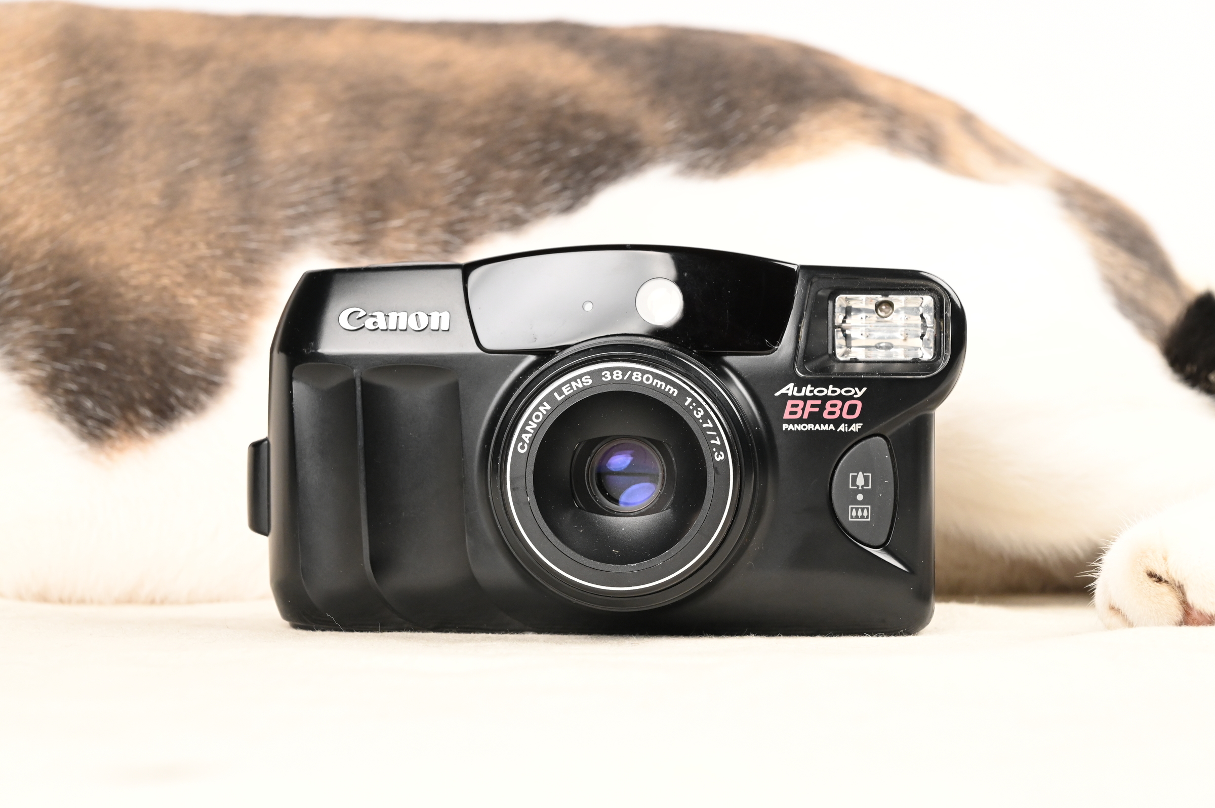 キャノン Canon Autoboy BF 80 Panorama AiAF ブラック 38/80mm F3.7