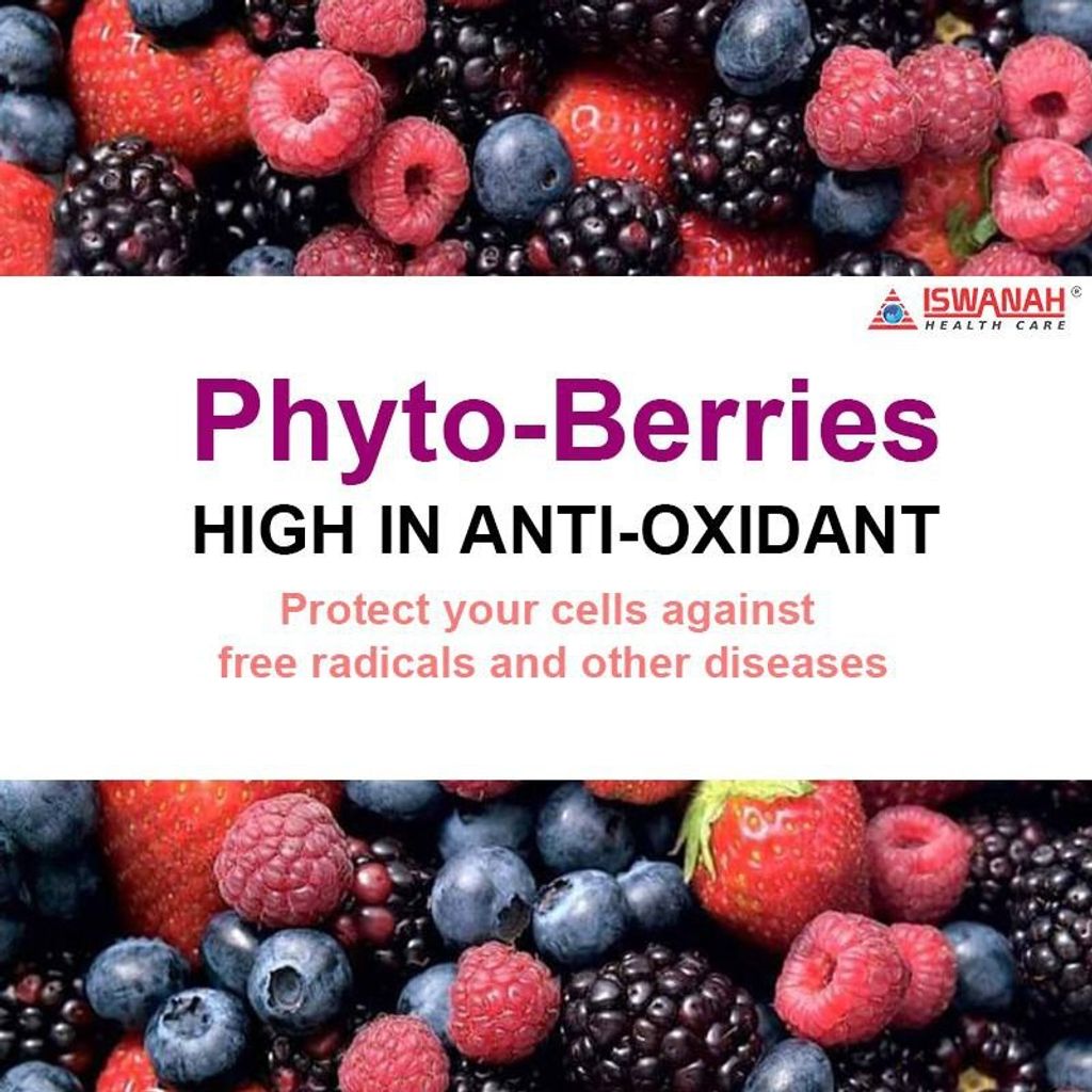 phyto-berries 2