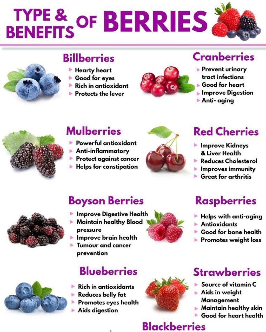phyto-berries 4
