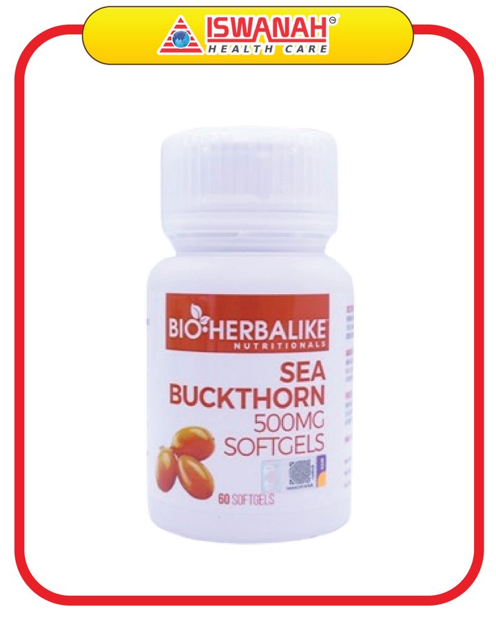 sea buckthorn-01