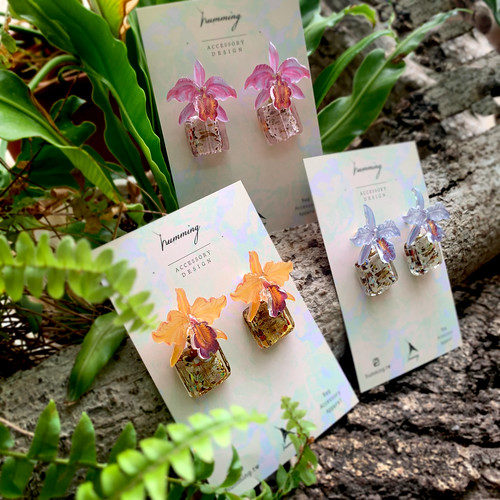 耳環 嘉德麗雅蘭 樹脂 琉璃 蘭花 銀飾 禮物 禮盒 耳夾 客製 母親 - 耳環/耳夾 - 塑膠 多色