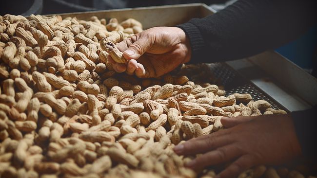 Sinn Loong Foodstuff Traders | Home of delicious peanuts and more - Sinn Loong Products