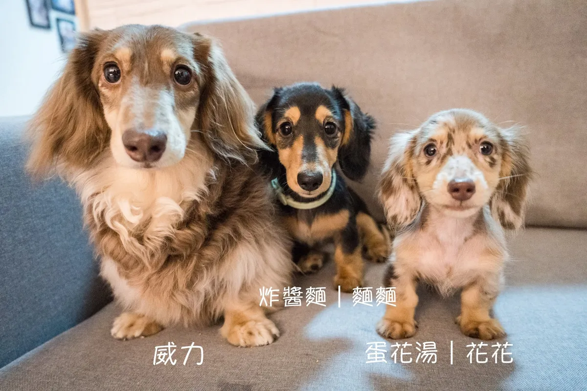 關於我