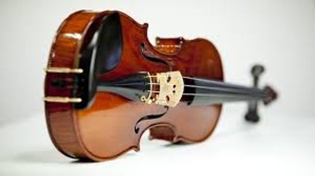 Micro Music Store |  - VIOLIN & CELLO