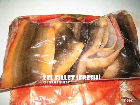 Eel Fillet (Fresh).jpg