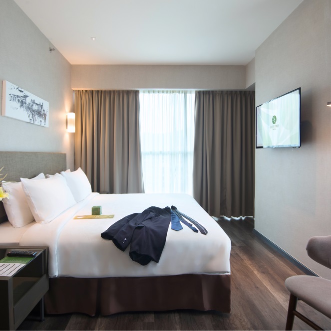 Olive Deluxe 2_LR.jpg