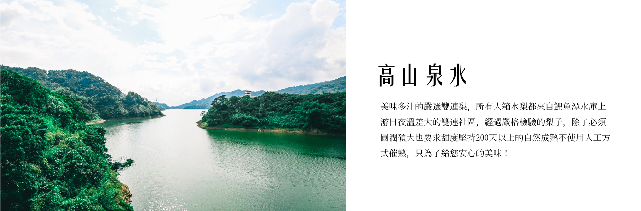 苗栗卓蘭新興水梨-鯉魚潭水庫的高山泉水.jpg