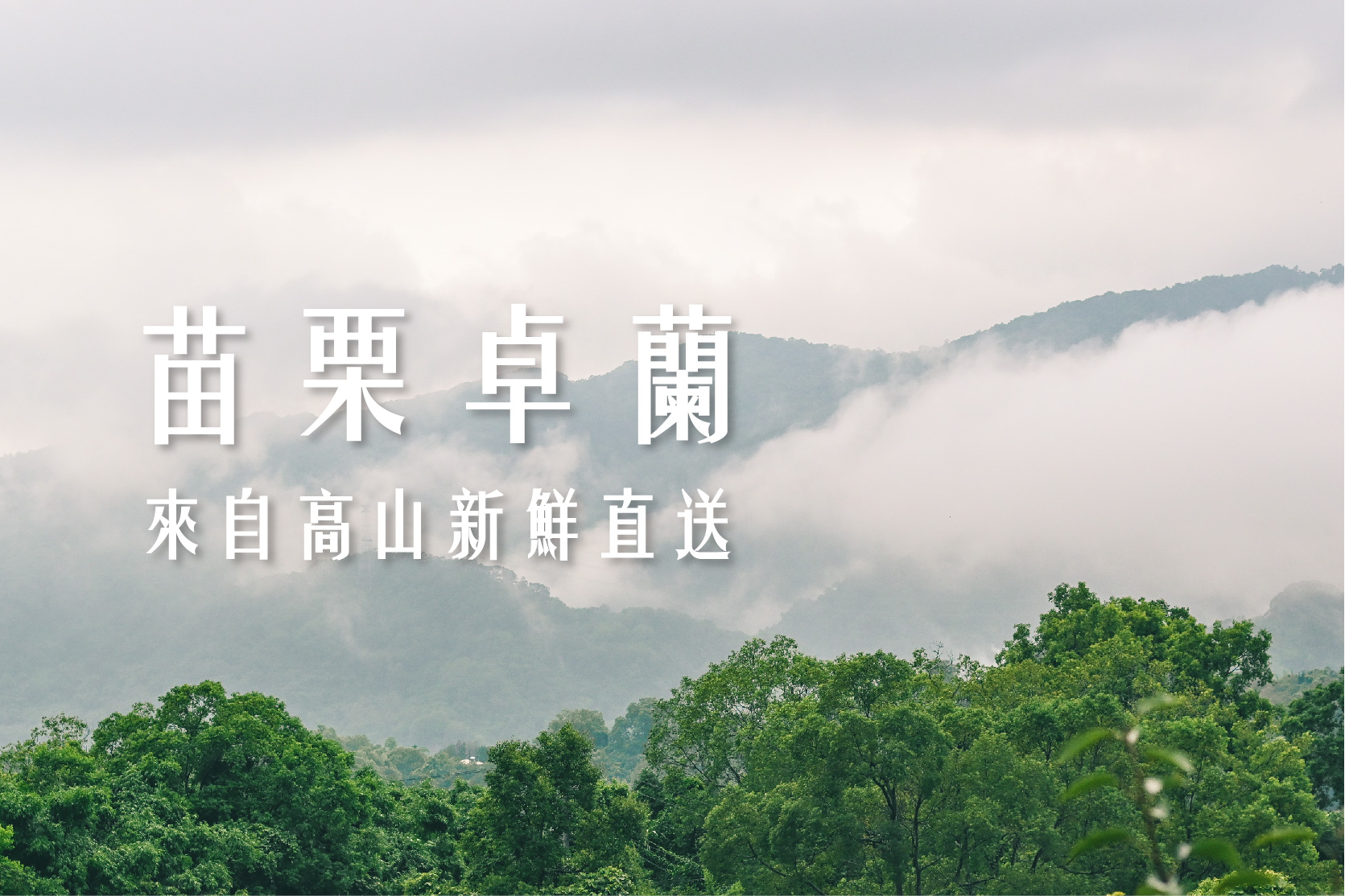 水梨卓蘭山地工作區域 1@72x-80 (1).jpg