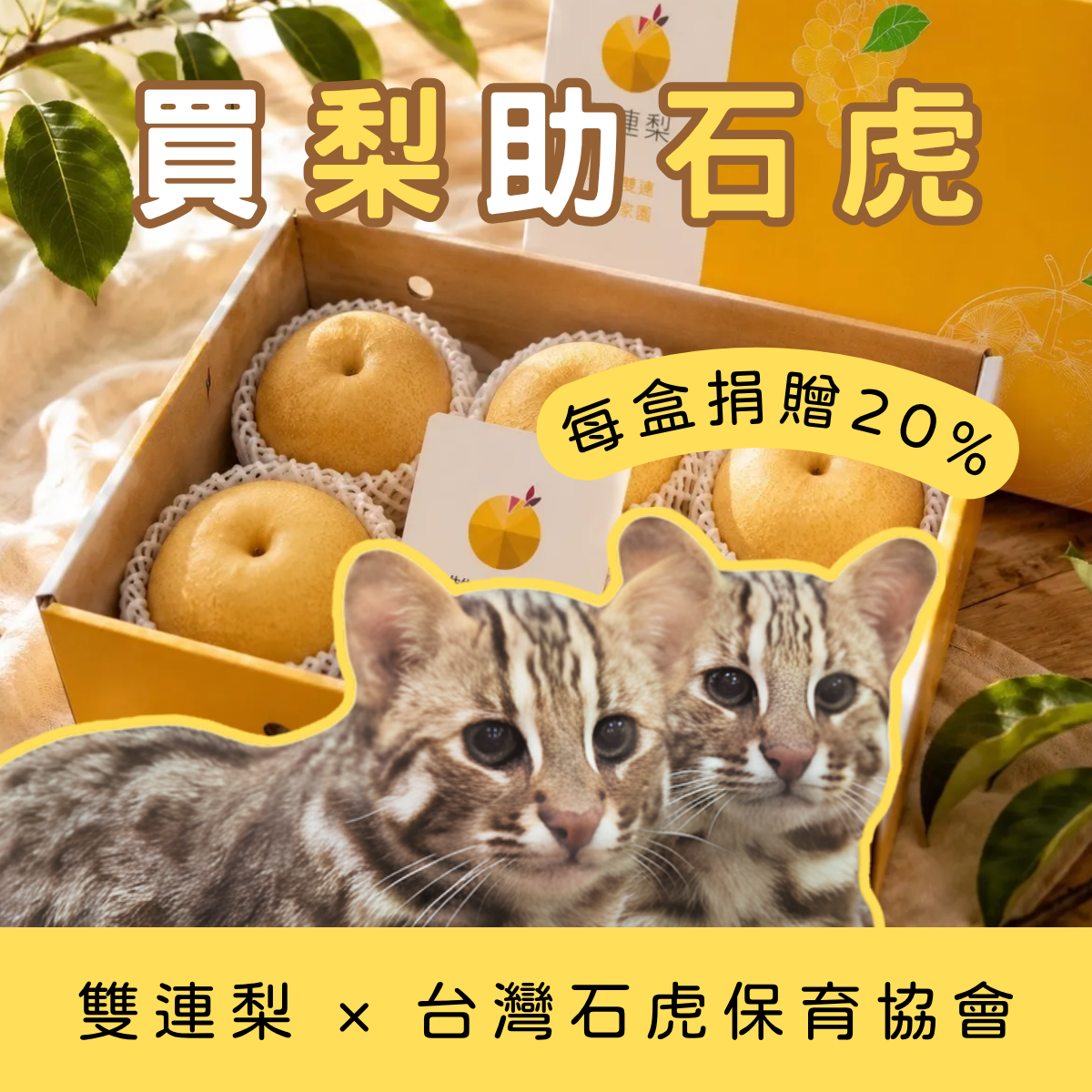 公益合作 新興梨