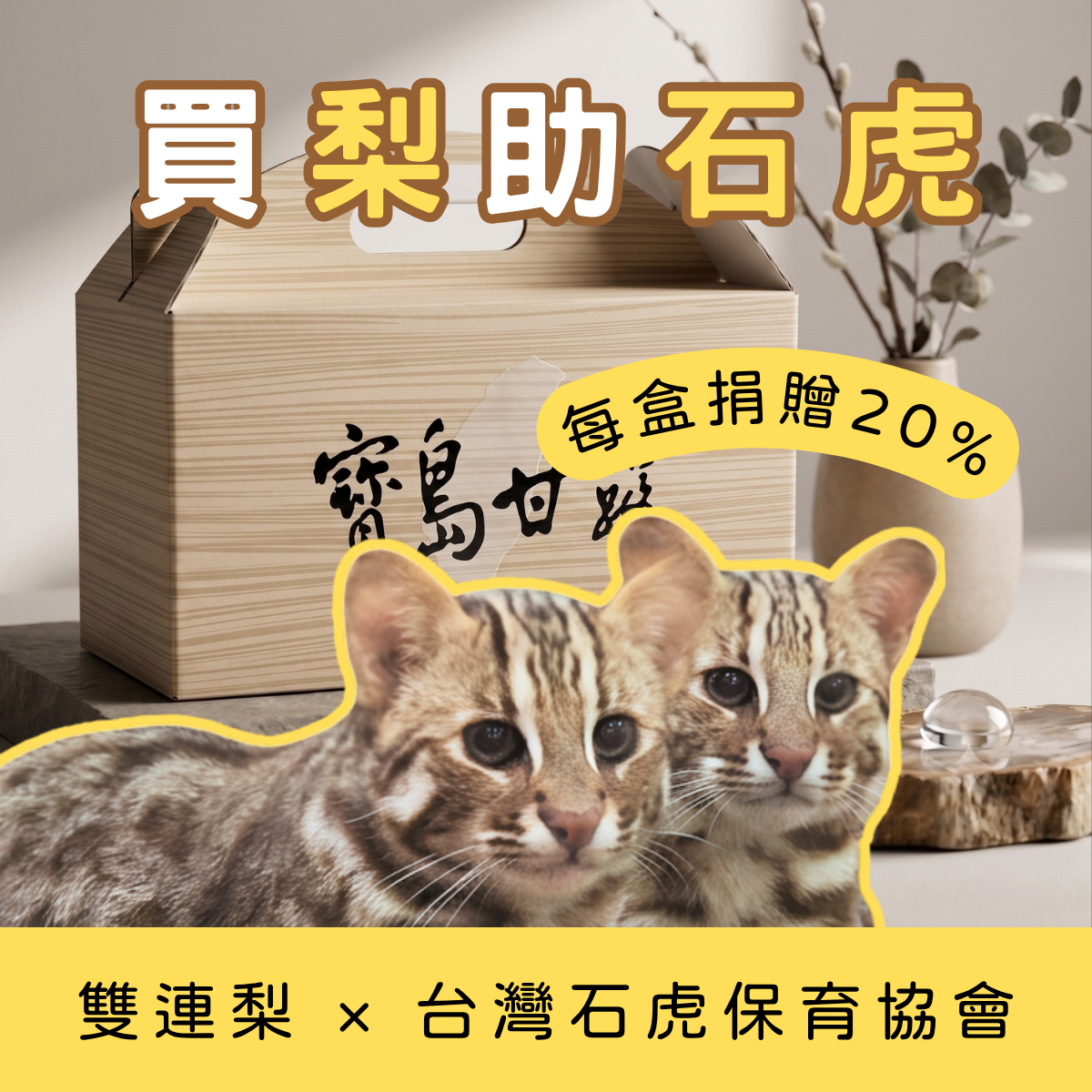 公益合作 甘露梨_0