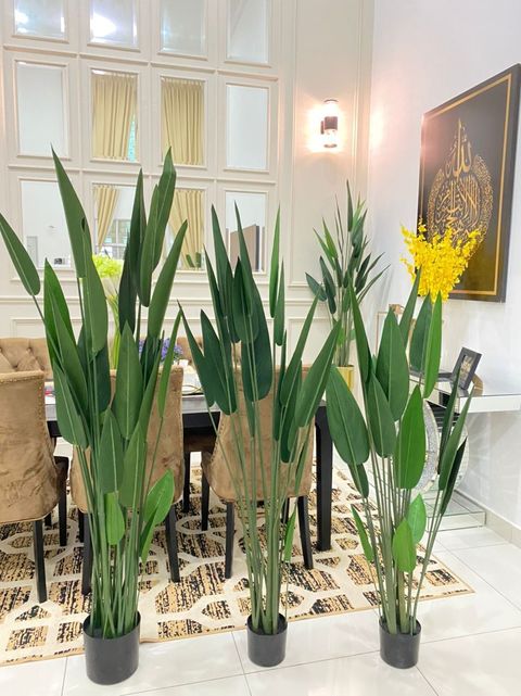 IMG_0642-1727507192661