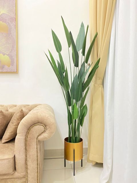 IMG_7041-1727507192663