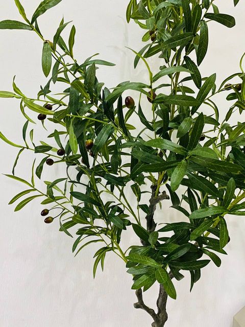 IMG_7044-1727507581108